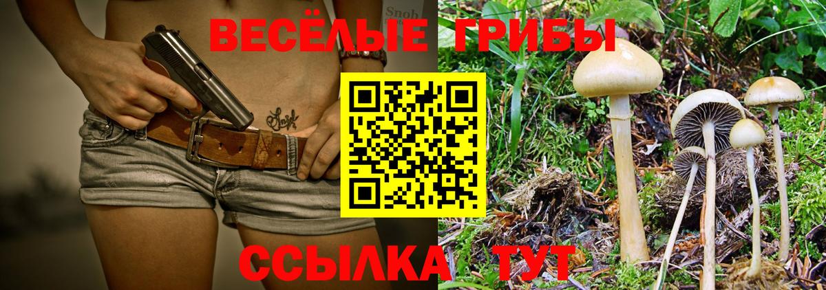 Псилоцибиновые грибы ЛСД  Вход с VPN  Псилоцибиновые грибы прущие грибы  Прокопьевск 